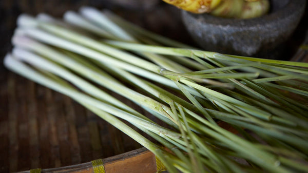Organic Lemongrass Essential Oil
